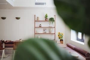 Hotel Camelia International