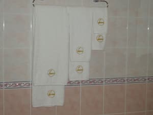 Duet Plus