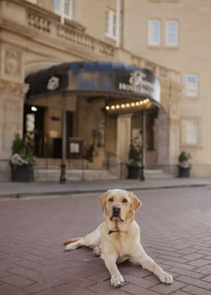 Fairmont Hotel Macdonald
