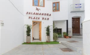 Salamandra Plaza B&B