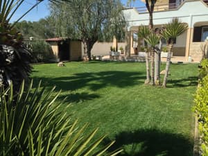 B&B Mim