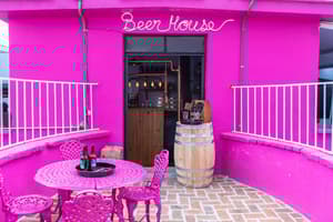 Mala Vecindad Beer Hotel