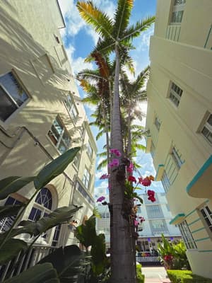 Luxuri Suites