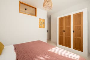 Petunia Ibiza - Adults Only