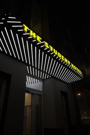 The Social Hub Rotterdam