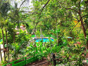 The Maya Mountain Lodge