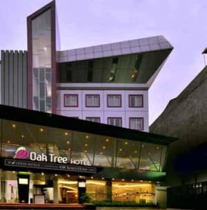 Oak Tree Urban Jakarta