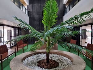 Ape Vista Mar, Piscina & Academia P811