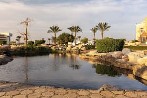 Palm Royale Resort - Soma Bay