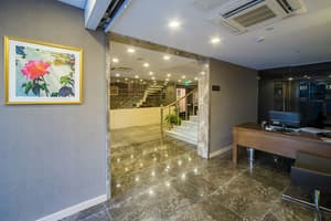 Molton Monapart Mecidiyekoy