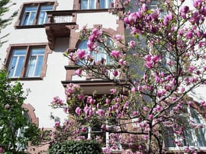Hotel Robert Mayer
