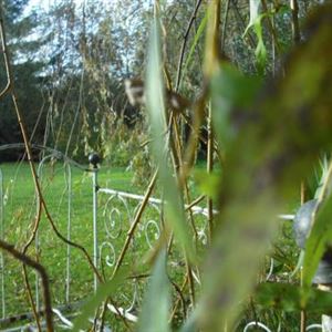 Boulogne-Sur-Mer thumbnail