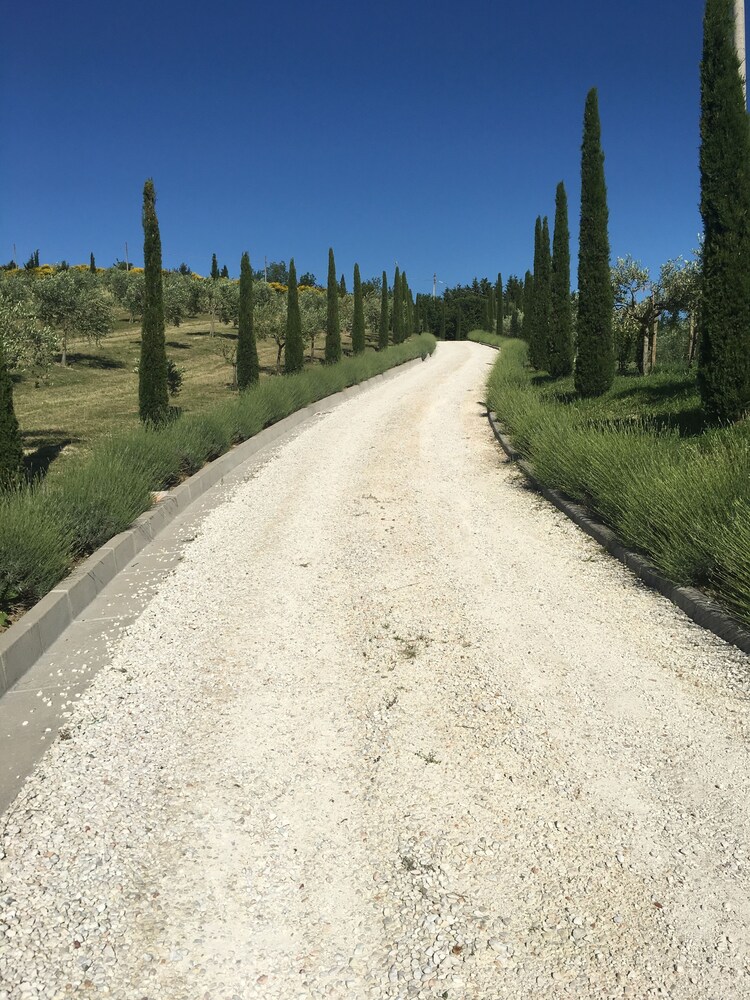 Montecassiano thumbnail