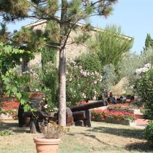 Casino di Terra thumbnail