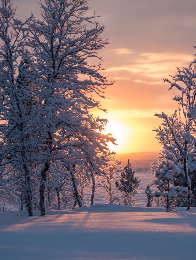 Kiruna thumbnail