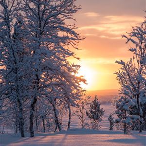 Kiruna thumbnail