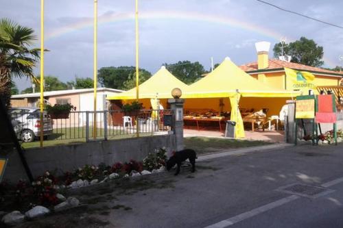 Venezia Lido thumbnail