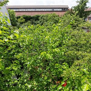 Moerfelden thumbnail