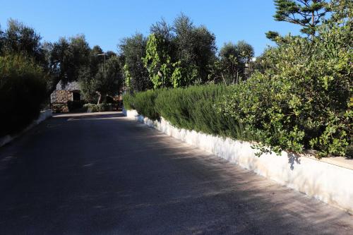 Martina Franca thumbnail