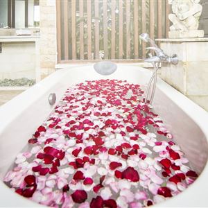 Denpasar Bali thumbnail