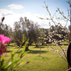 Montalto Di Castro thumbnail