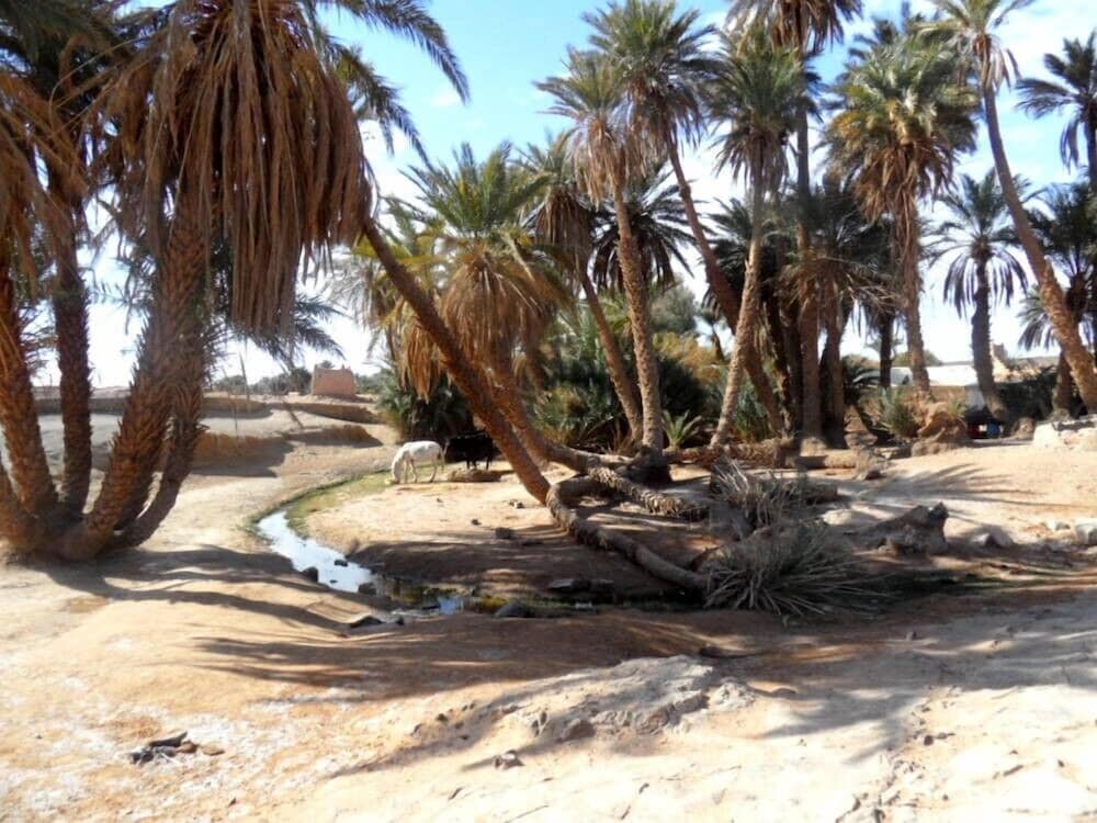 Zagora thumbnail