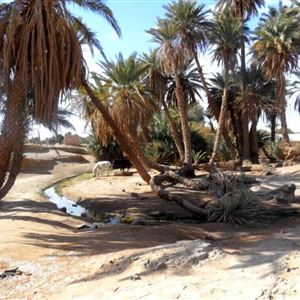 Zagora thumbnail