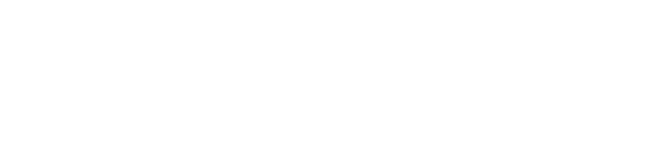 VIP365 Logo