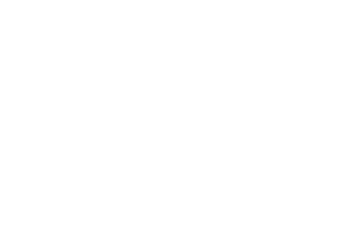 Triply Logo