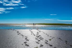 thumbnail: Beach