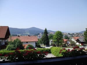 thumbnail: 19370265.jpg