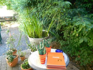 thumbnail: Garden