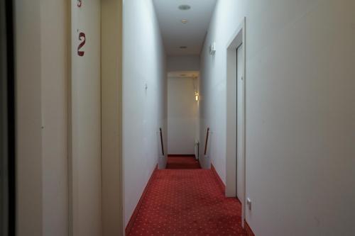 681459100.jpg