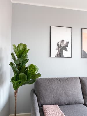 thumbnail: Interior