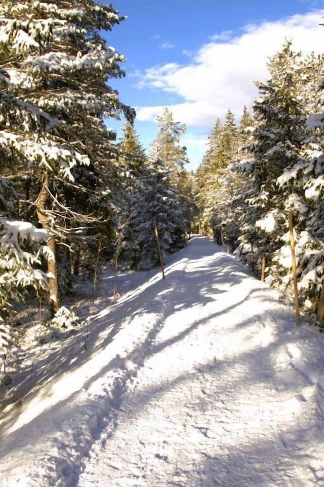 Land view from property