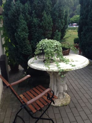 thumbnail: Garden