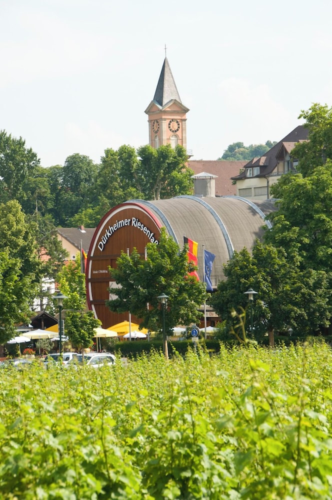 Land view from property