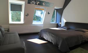 thumbnail: General view