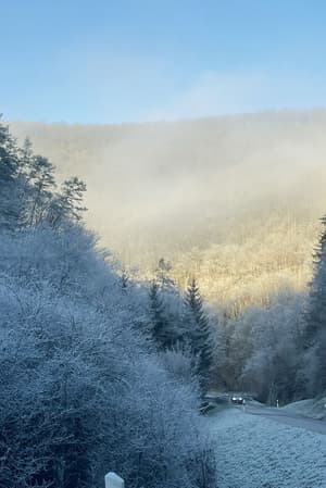 thumbnail: Land view from property