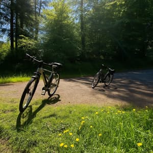 thumbnail: Bicycling