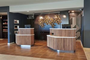 thumbnail: Reception