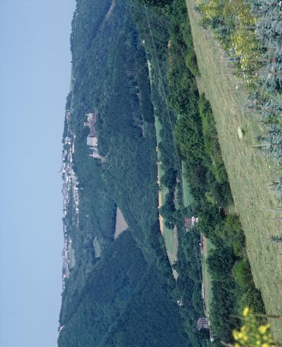 10259012.jpg