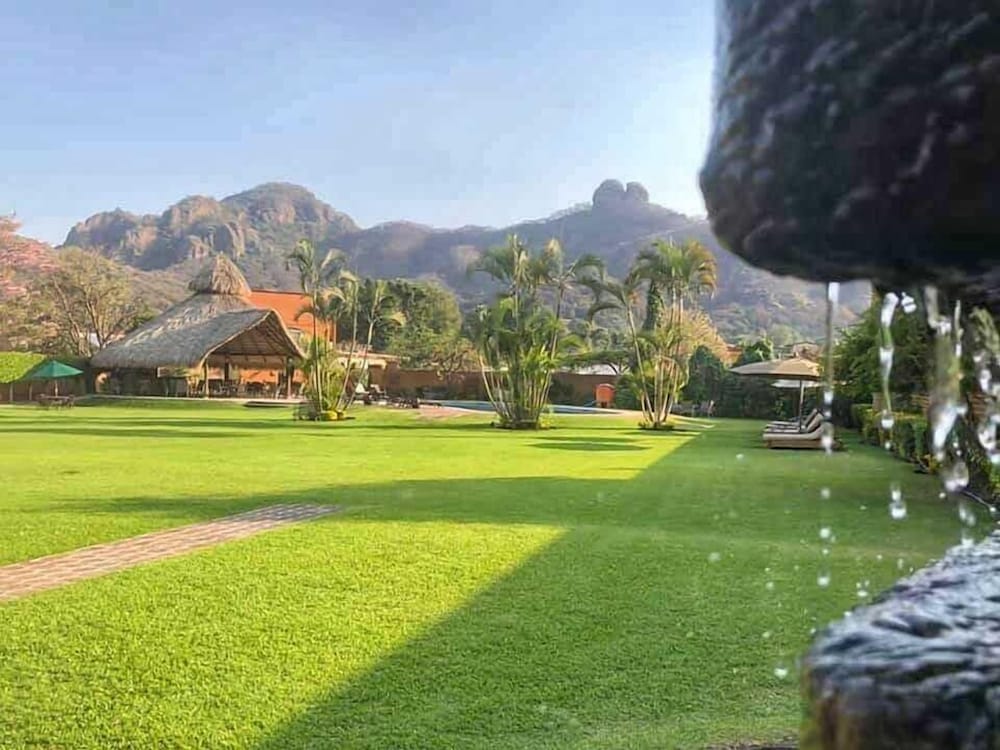 Garden view