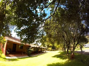 thumbnail: Garden view