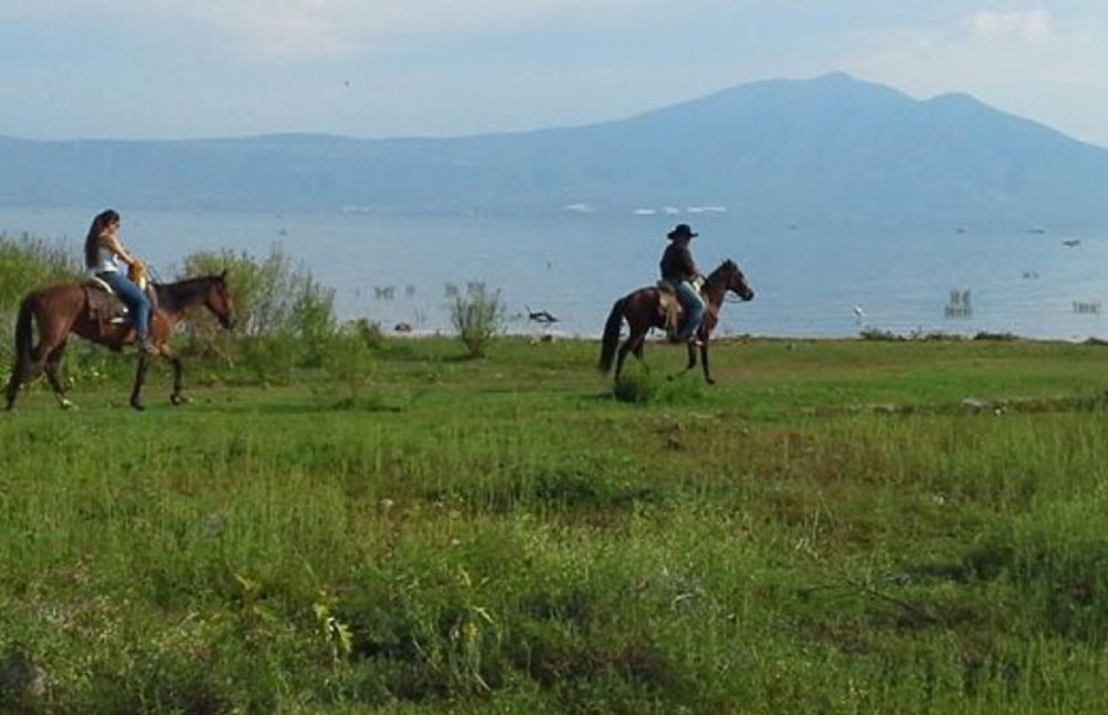 Horseback riding