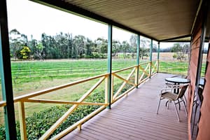 thumbnail: Terrace/patio