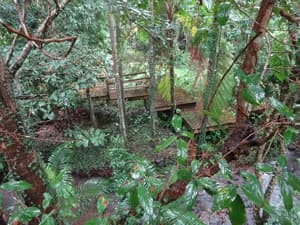 thumbnail: View from room