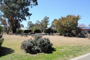 thumbnail: Garden view