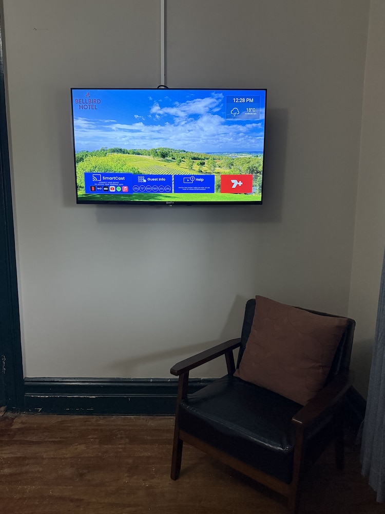 Television