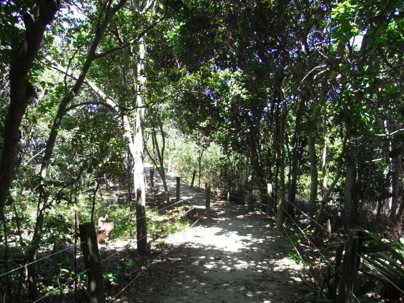 General view